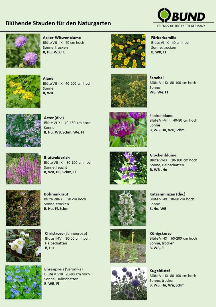 verkleinertes Info-Blatt über blühende Stauden